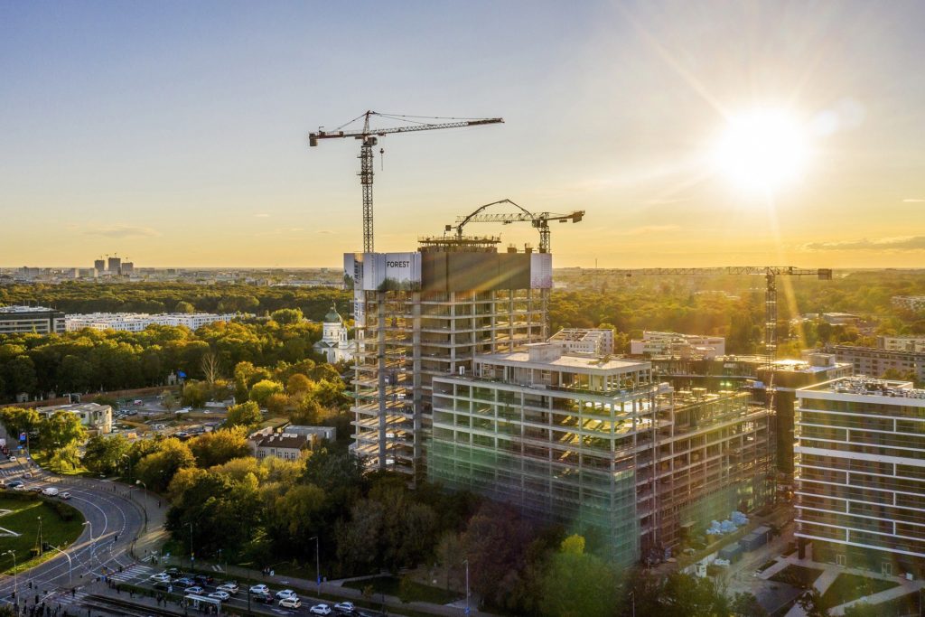 Kompleks Forest - listopad 2020