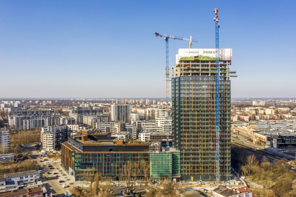 Forest z wysokością docelową