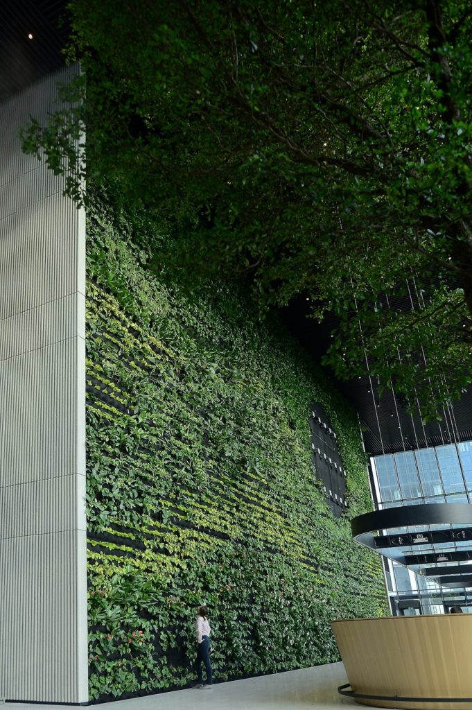 Zielona ściana w  Generation Park Y
