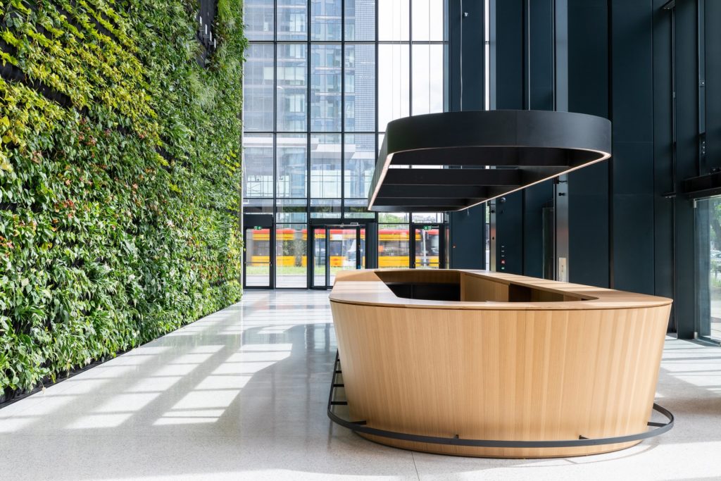 Zielona ściana w Generation Park Y