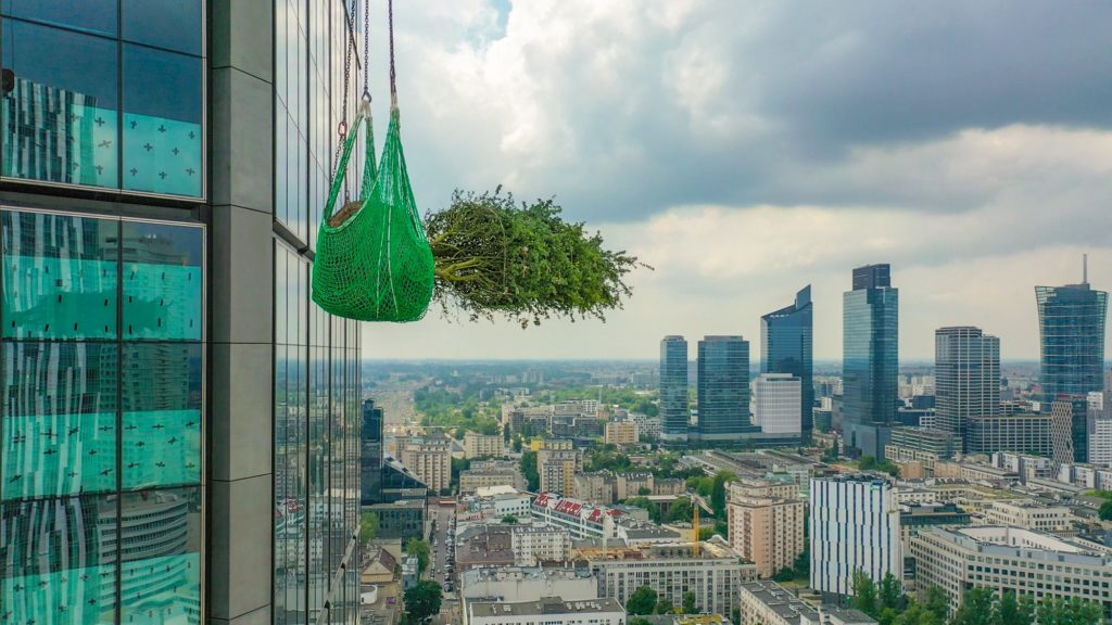 Taras na Varso Tower