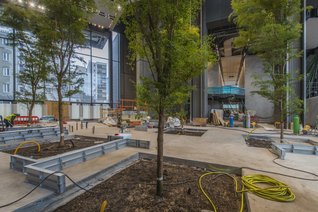 Drzewa w lobby wieżowca