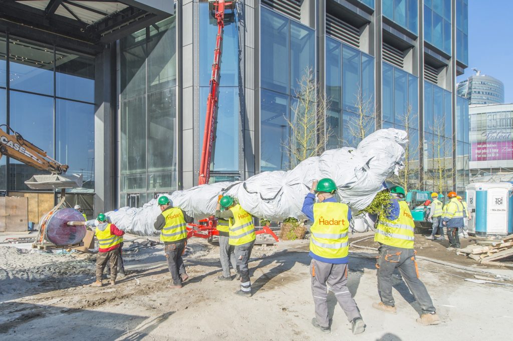 Wnoszenie drzewa do lobby Varso Tower