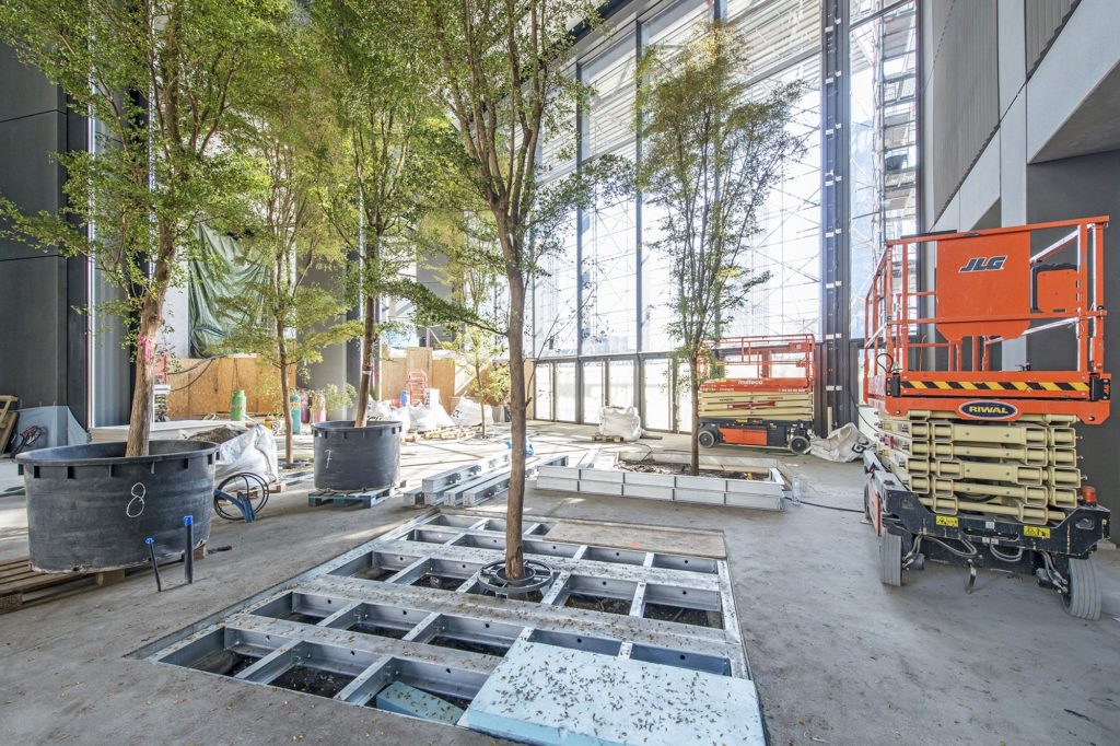 Drzewa w lobby wieżowca