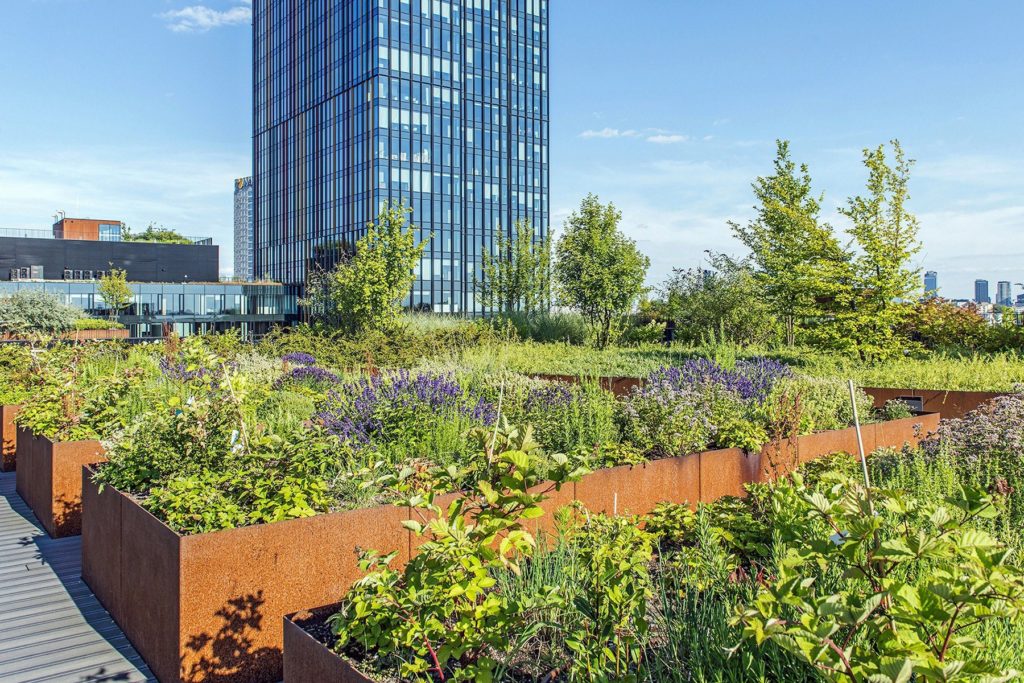 Kampus biurowy Forest wśród najpiękniejszych ogrodów Warszawy