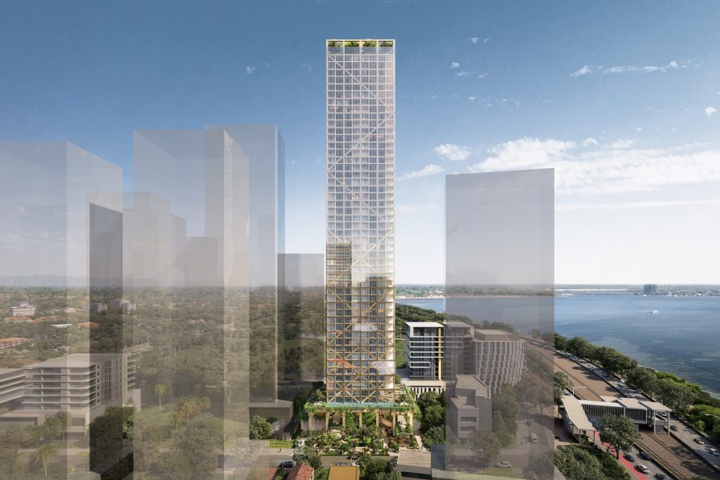 C6. Przyszłość w drewnie