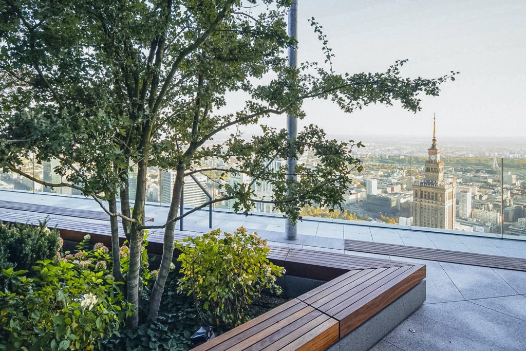 Zieleń na tarasie Varso Tower
