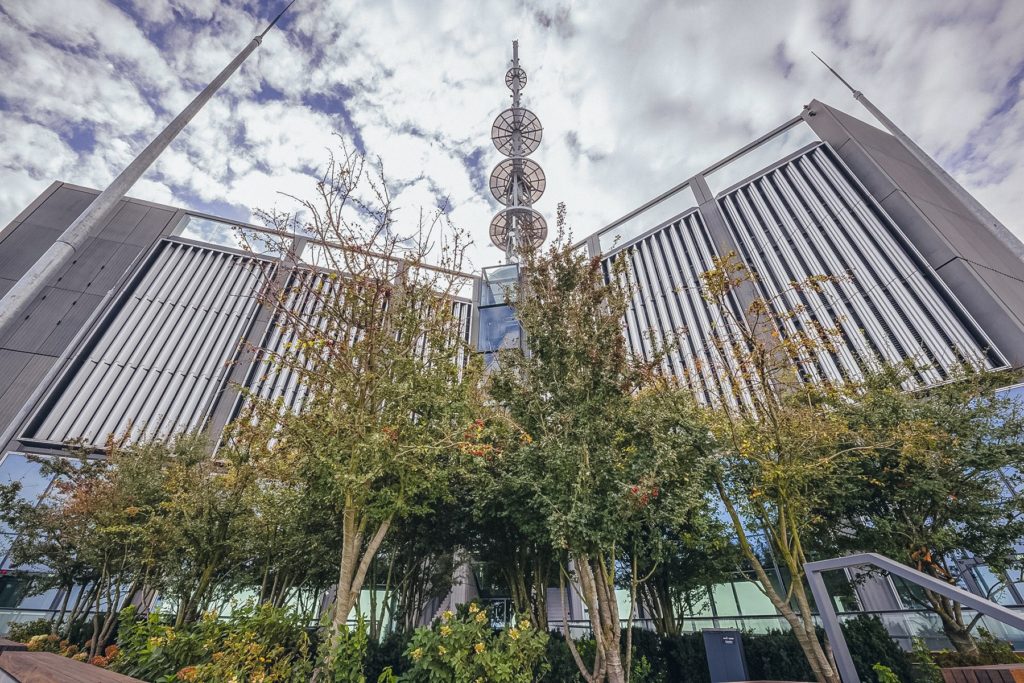 Zieleń na tarasie Varso Tower