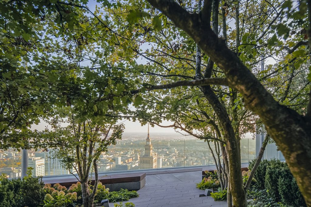 Taras widokowy na Varso Tower. Znamy planowaną datę otwarcia!